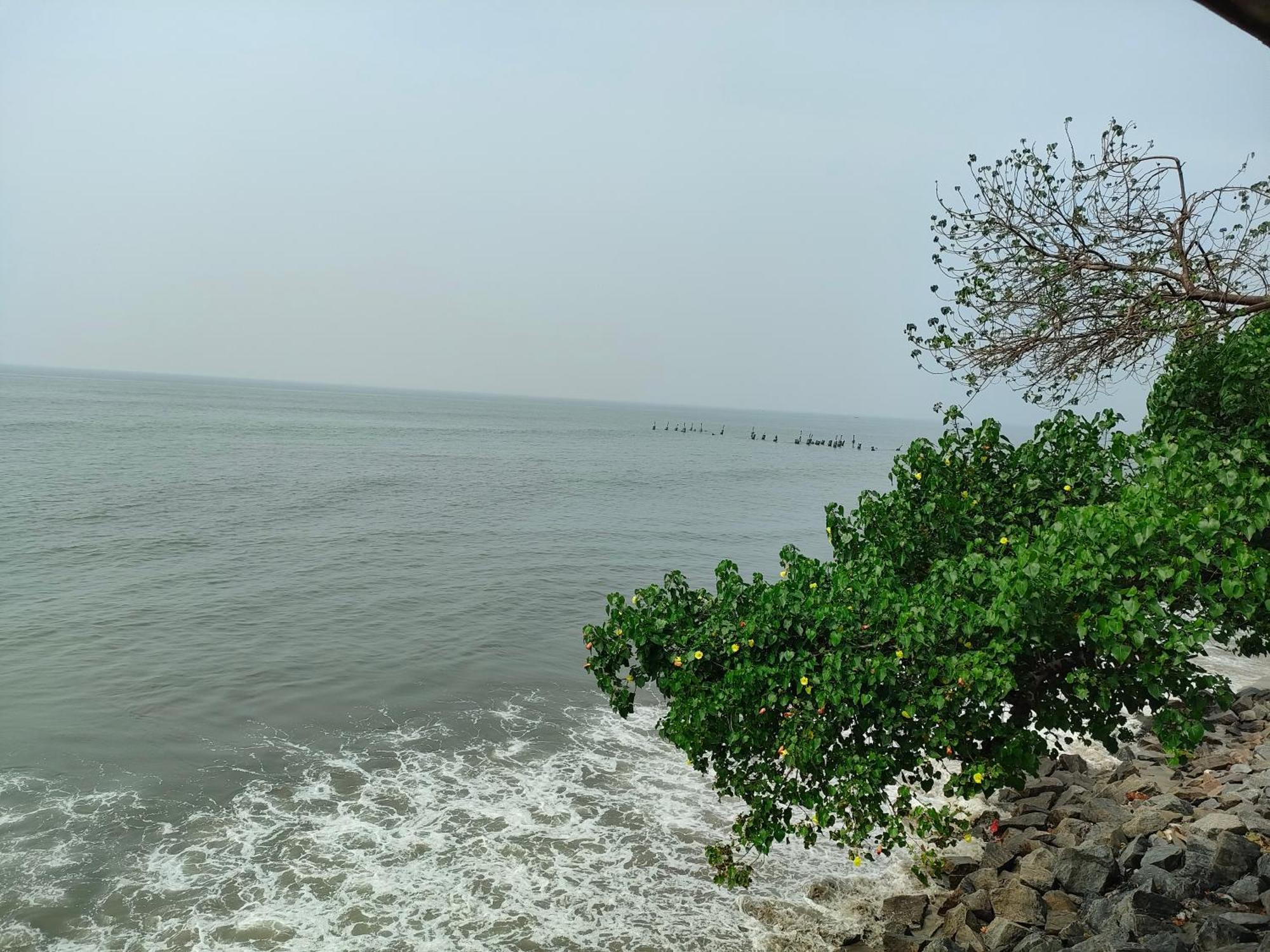 Coastal Den Homestay Pallipuram Exteriér fotografie